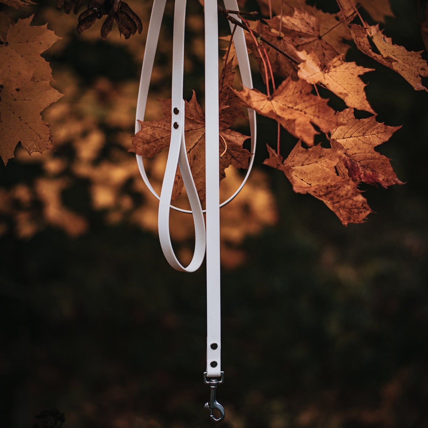 Kobbel av BioThane® - 16mm